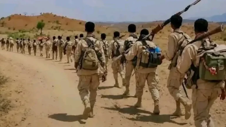 Tigray Military